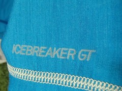 new ICEBREAKER GT 200 chase crew merino wool top baselayer slim fit womens LG