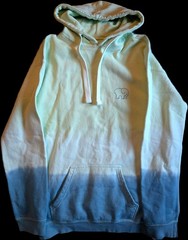 Ivory Ella Hoodie Womens Blue Green Ombre Elephant Logo Pullover Sweatshirt