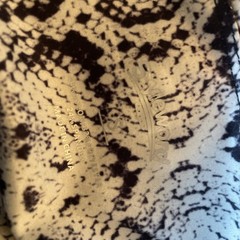 🆕 KYODAN Active Women Leggings High Waist Yoga Pants Snake Print SMALL