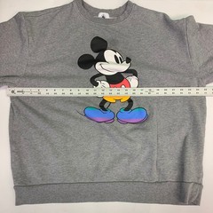 Disney Mickey Mouse Rainbow Pride Sweatshirt Gray Women’s Size XL