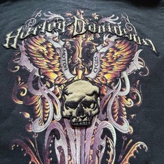 Harley Davidson Black Embroidered Skull Wing Graphic V-Neck Pullover Hoodie L