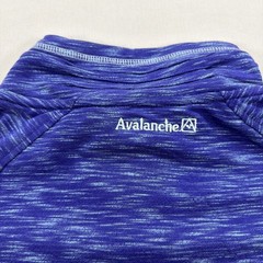 Avalanche Womens Long Sleeve Size XXL Purple 1/4 Button Pullover Light Sweater