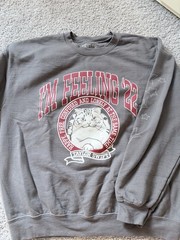 TAYLOR SWIFT I’M FEELING 22 SWEATSHIRT Sz L CAT STARS TOUR MERCH RED ALBUM RARE