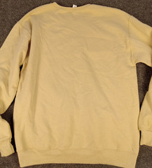 Vintage Taylor Swift Sweatshirt medium Honduras Pop Embroidered music Rare J70