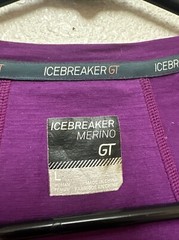 Icebreaker GT Women’s Purple Merino Wool Top T-Shirt Sz L