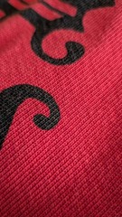 ADAPTATION Hollywood Forever Cropped Hoodie Red Black Gothic Graphic Womens XS