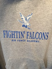NWT Women’s Size Small Champion Gray Air Force Falcons Fleece Hoodie Relaxed Fit