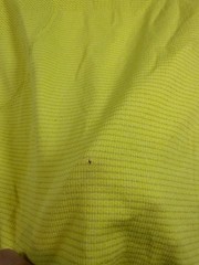Womens 8 Lululemon Swiftly Tech Long Sleeve T-Shirt Mellow Yellow Thumbholes Gym