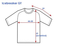 Icebreaker GT Merino Wool Performance T-Shirt Base Layer Gray Womens Size S