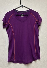 Icebreaker GT Women’s Purple Merino Wool Top T-Shirt Sz L