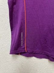 Icebreaker GT Women’s Purple Merino Wool Top T-Shirt Sz L