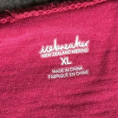 Icebreaker Nature 200 Shirt Womens XL Pink Haven Scoop Base Layer Merino Wool