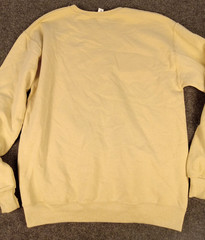 Vintage Taylor Swift Sweatshirt medium Honduras Pop Embroidered music Rare J70