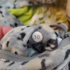 Lululemon Rise & Shine Jacket Size 10 Not so Petite Fleur Silver Spoon Athletic