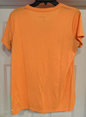 EUC Set of 2 Reebok Women’s Size L Short Sleeve V Neck Workout Speed Wick Shirts
