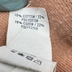 Aerie Velour Sweatshirt Womens XS Terracotta Orange Raglan Crewneck Pullover