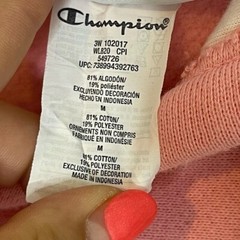 Champion Womens Reverse Weave Colorblock Cropped Hoodie Size M Pink Gray Blue