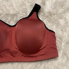 Livi 44DD Sports Bra Underwire Back Closure Lane Bryant