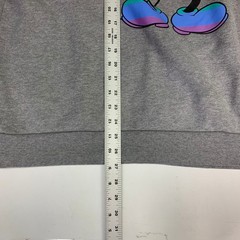 Disney Mickey Mouse Rainbow Pride Sweatshirt Gray Women’s Size XL