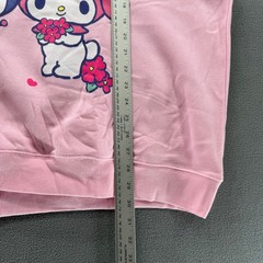 My Melody Kuromi Pink Graphic Sweatshirt Women’s 2X Festival Bloom Sanrio