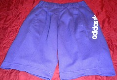 New WOMEN’S ADIDAS JOG,HIKE.WALK LEISURE SHORTS PURPLE Sz S – LAST ONE